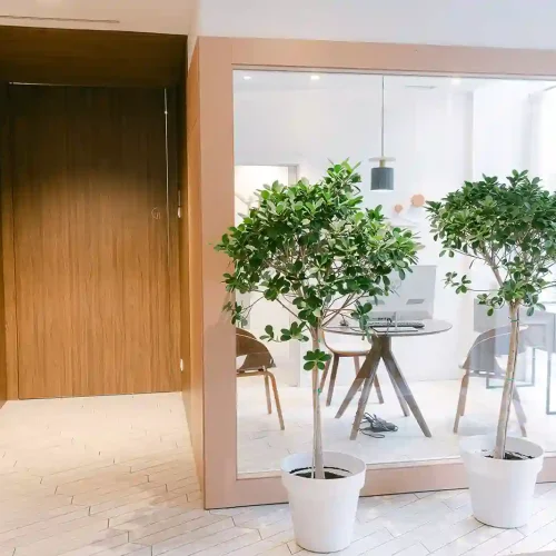 _volvoretaClinicaPousa-11